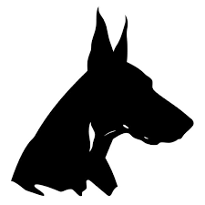 Raymond Doberman Puppies Home